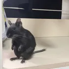 ユーザー画像