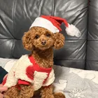 ユーザー画像