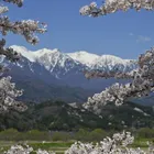 ユーザー画像