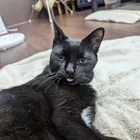 ユーザー画像
