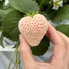 ユーザー画像