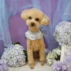 ユーザー画像