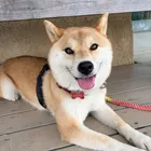 ユーザー画像