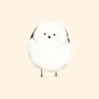 ユーザー画像