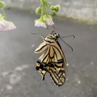 ユーザー画像