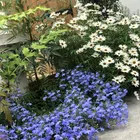 ユーザー画像