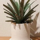 ユーザー画像