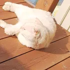 ユーザー画像
