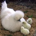 ユーザー画像