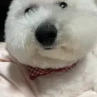 ユーザー画像