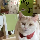 ユーザー画像