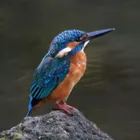 ユーザー画像