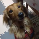 ユーザー画像
