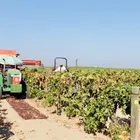 ユーザー画像