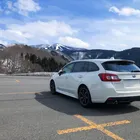 モルフォ