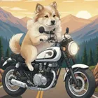 ユーザー画像