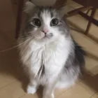ユーザー画像