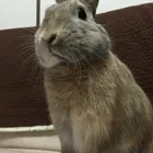 ユーザー画像