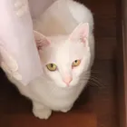 ユーザー画像