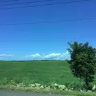 ユーザー画像