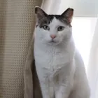 ユーザー画像