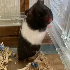 ユーザー画像