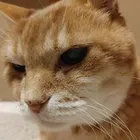 ユーザー画像