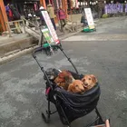 ユーザー画像