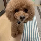 ユーザー画像