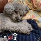 ユーザー画像