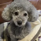 ユーザー画像