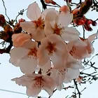 ユーザー画像