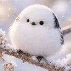 ユーザー画像