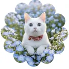 ユーザー画像