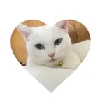ユーザー画像