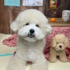 ユーザー画像
