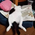 ユーザー画像
