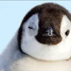 ユーザー画像