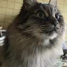 ユーザー画像