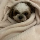 ユーザー画像