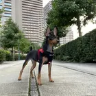 ユーザー画像