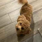 ユーザー画像