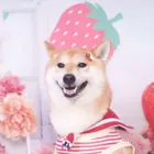 ユーザー画像