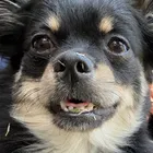 ユーザー画像