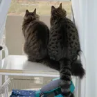 ユーザー画像