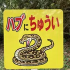 ユーザー画像