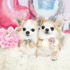 ユーザー画像