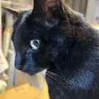 ユーザー画像