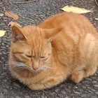 ユーザー画像