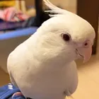 ユーザー画像